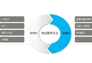 重慶網(wǎng)站建設新風向 引序科技如何以專業(yè)網(wǎng)絡科技服務賦能本地企業(yè)